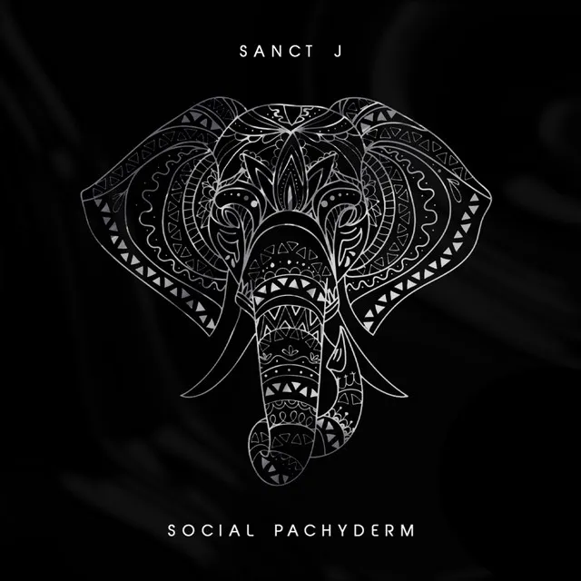 Social Pachyderm