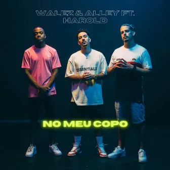 No Meu Copo (feat. Harold) by Alley