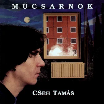 Műcsarnok by Tamás Cseh