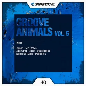 Groove Animals Vol. 5 by Lauren Benavente