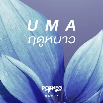 ฤดูหนาว (Posneg Remix) by UMA