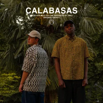 Calabasas by STEV-N