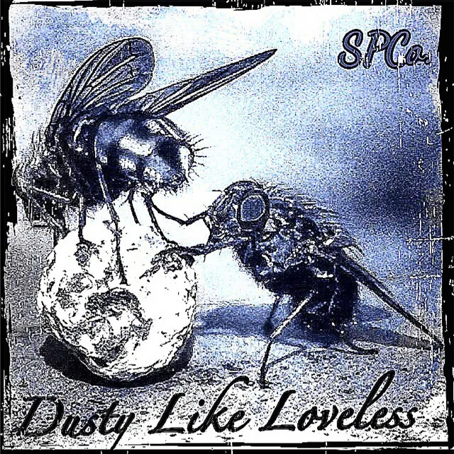 Dusty Like Loveless