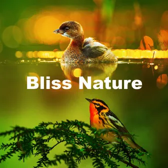 Bliss Nature by Natural Sound Selections