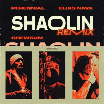 Shaolin (Remix) by Elias Nava