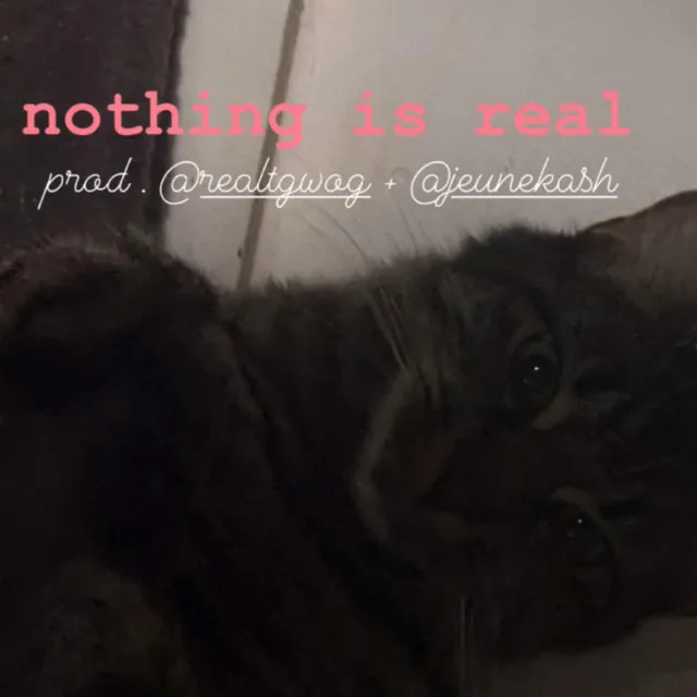 nothing is real