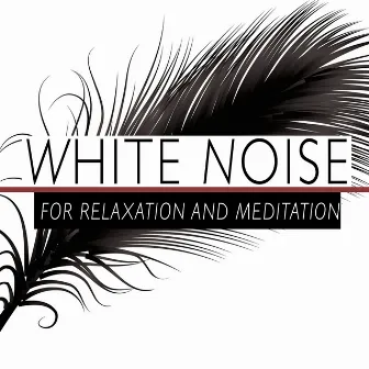 White Noise for Relaxation and Meditation by Unknown Artist