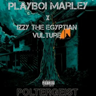 Poltergeist by PlayBoi Marley