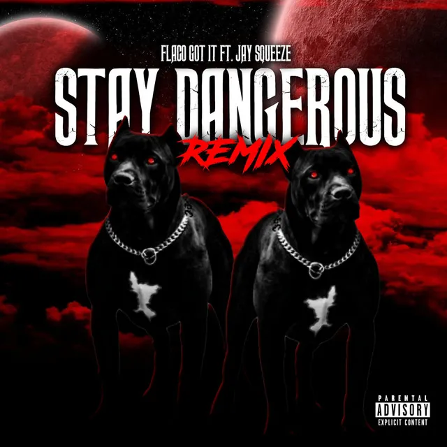 Stay Dangerous (Remix)