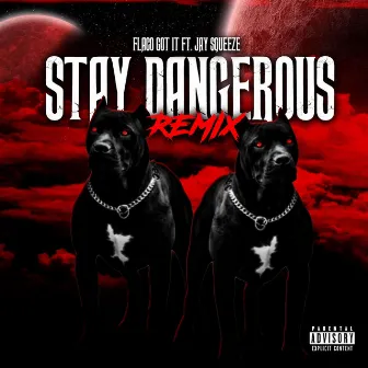 Stay Dangerous (Remix) by Jay Squeeze