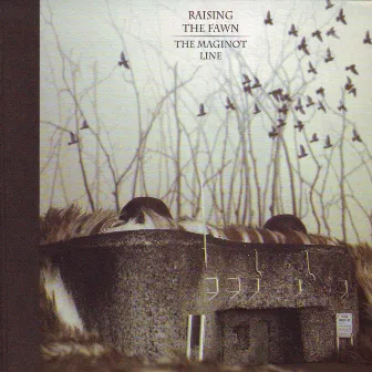 The Maginot Line by Raising the Fawn