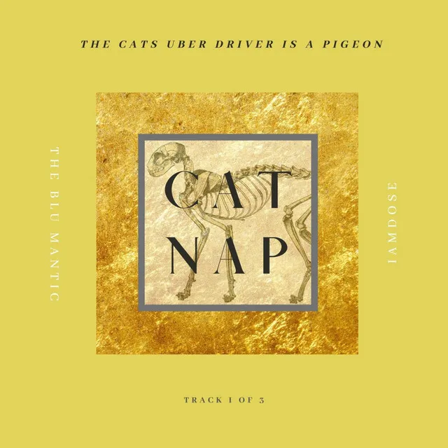 Cat Nap