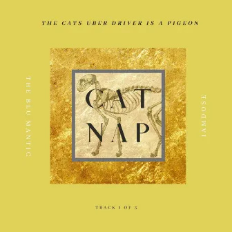 Cat Nap by The Blu Mantic