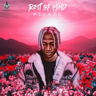 Rest of Mind by Picazo