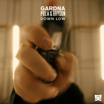 Down Low by Gardna