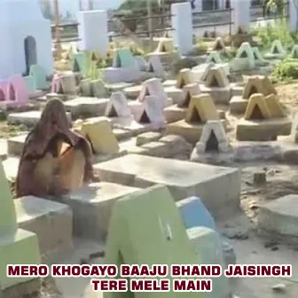 Mero Khogayo Baaju Bhand Jaisingh Tere Mele Main by Hari Yadav