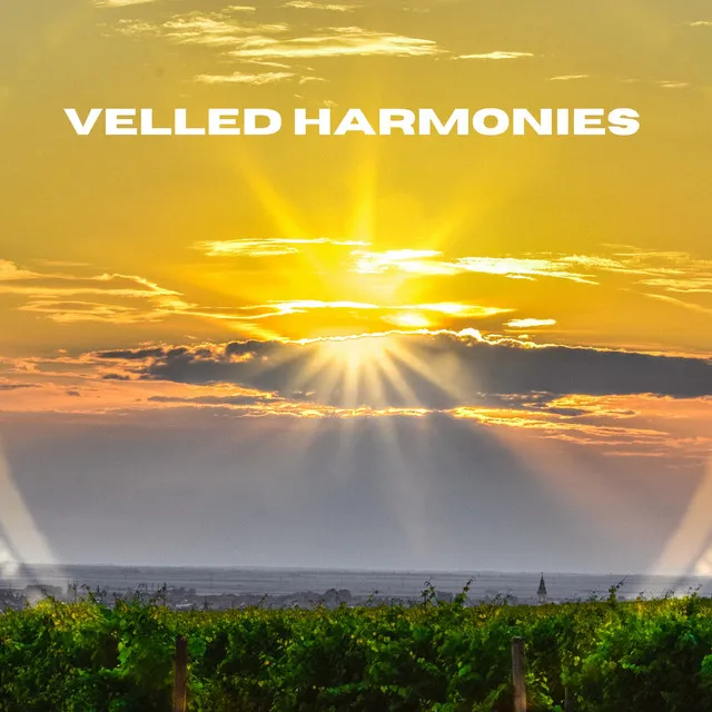 Veiled Harmonies