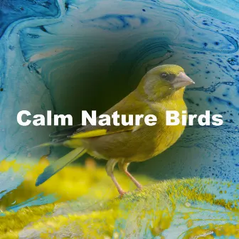 Calm Nature Birds by Nature Bird Sounds