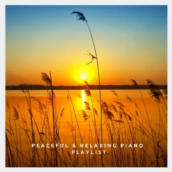 Peaceful and Relaxing Piano Playlist by Andrew O'Hara