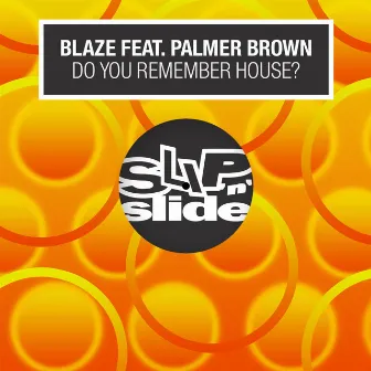 Do You Remember House? (feat. Palmer Brown) by Blaze