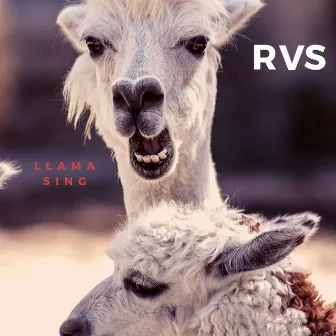 Llama Sing by RVS