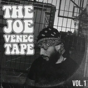 The Joe Venec Tape, Vol. 1 (Instrumental) by Joe Venec