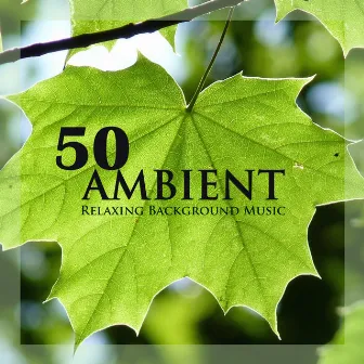 50 Ambient - Relaxing Background Music & Instrumental Meditation Song with Nature Sounds for Wellness, Spa and Relaxation (Gold Collection) by Unknown Artist