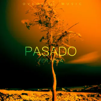 Pasado by Fer Vela