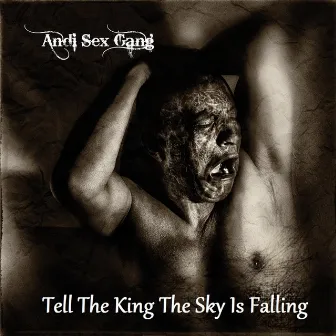 Tell the King the Sky Is Falling by Andi Sex Gang