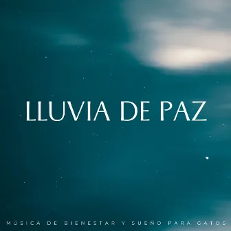 Lluvia De Paz: Música De Bienestar Y Sueño Para Gatos by Gatos somnolientos