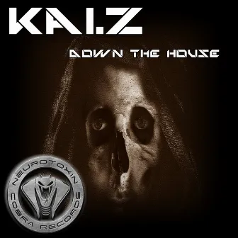 Down The House by Kai. Z