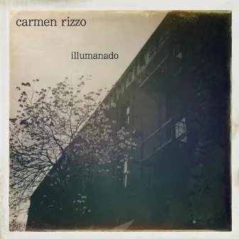 Illumanado by Carmen Rizzo