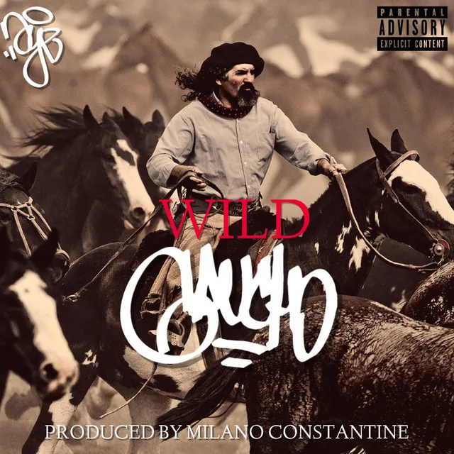 Wild Gaucho