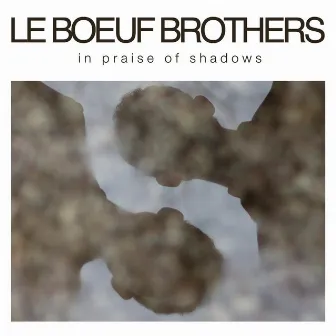 In Praise of Shadows by Le Boeuf Brothers