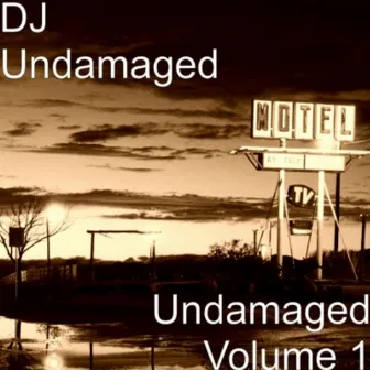 Undamaged Volume 1 by DJ Undamaged