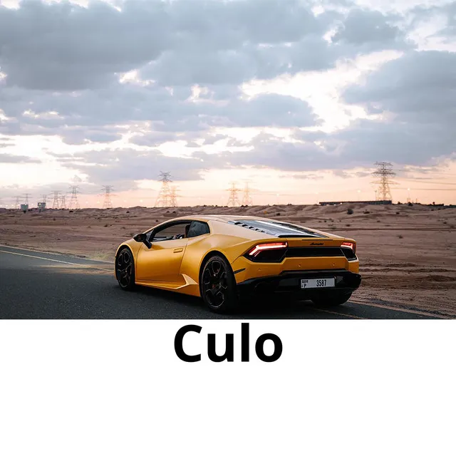 Culo