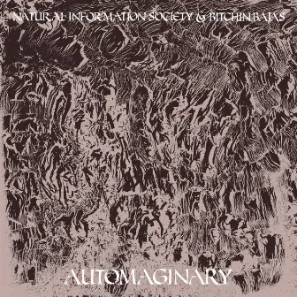 Automaginary by Natural Information Society