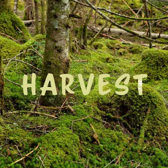 HARVEST by Tom Brown