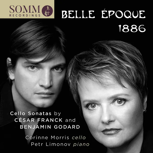 Cello Sonata in D Minor, Op. 104: III. Vivace ma non troppo