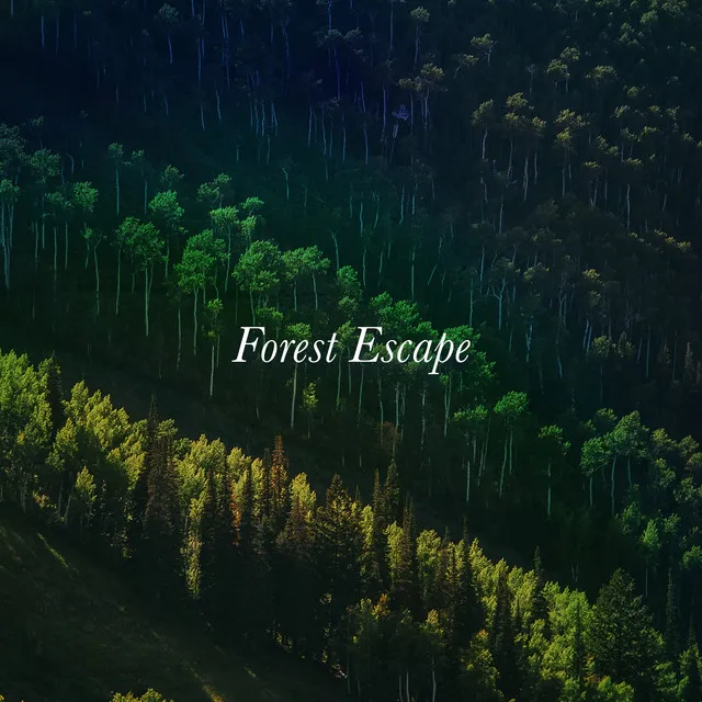 Forest Escape