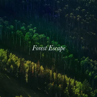 Forest Escape by Deep Sleep Nature Sounds