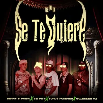 Se Te Quiere (Remix) by Valzinder VZ