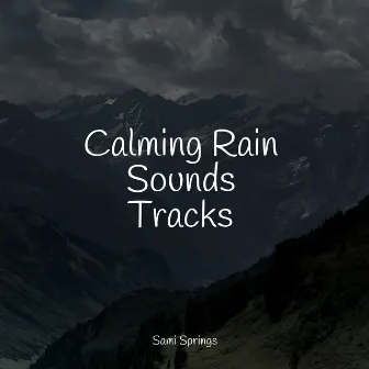 50 Gentle Rain and Nature Sounds by Yoga Trainer