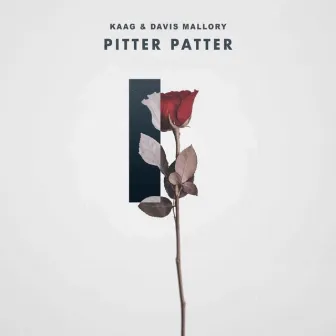 Pitter Patter by Davis Mallory