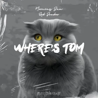 Where's Tom by Franko Keys