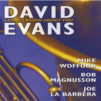 I Didn't Know About You by David Evans