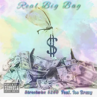 Real Big Bag by Streetwise 5280