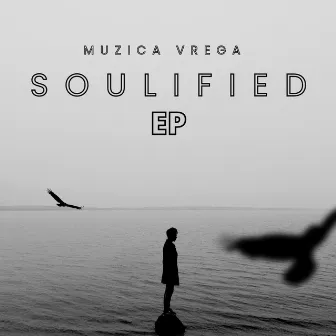 Soulified by Muzica Vrega