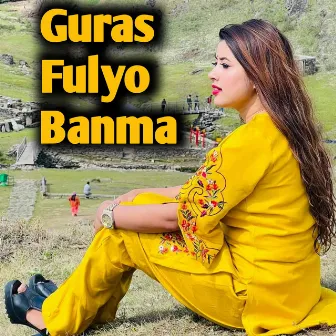 Guras Fulyo Banma by Ammar Bohara