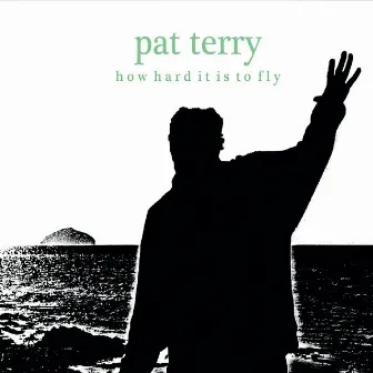 How Hard It Is to Fly by Pat Terry